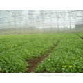 high density polyethylene agricultural insect screen